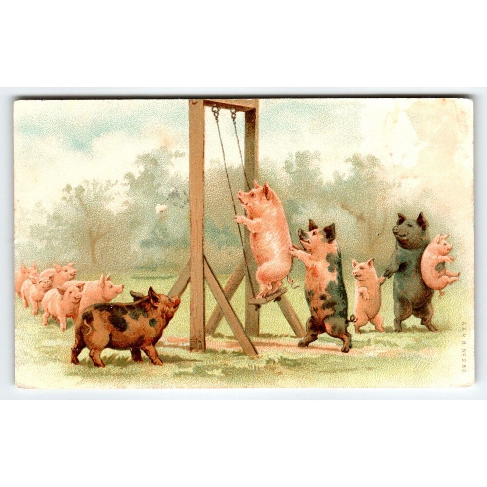 Pigs Fantasy Anthropomorphic Postcard Piglets Playing On Park Swing Antique A&MB
